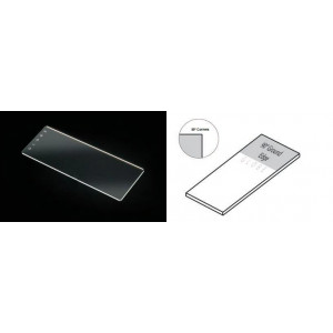 Microscope Slides, Glass, 25 x 75mm, 90? Ground Edges, Plain, 72/Box, 20 Boxes/Case (10 Gross)