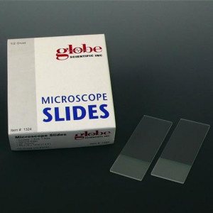 Microscope Slides, Glass, 25 x 75mm, 45? Beveled Edges, Clipped Corners, Frosted, 1 End, 1 Side, 72/Box, 2 Boxes/Case (1 Gross)